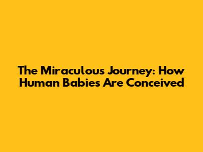 The Miraculous Journey: How Human Babies Are Conceived