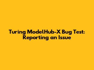 Turing ModelHub-X Bug Test: Reporting an Issue