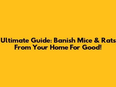 Ultimate Guide: Banish Mice & Rats From Your Home For Good!
