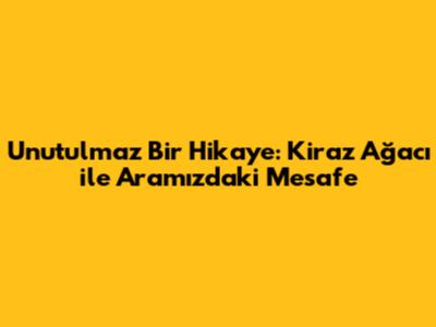 Unutulmaz Bir Hikaye: Kiraz Ağacı ile Aramızdaki Mesafe