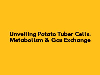 Unveiling Potato Tuber Cells: Metabolism & Gas Exchange