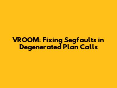 VROOM: Fixing Segfaults in Degenerated Plan Calls