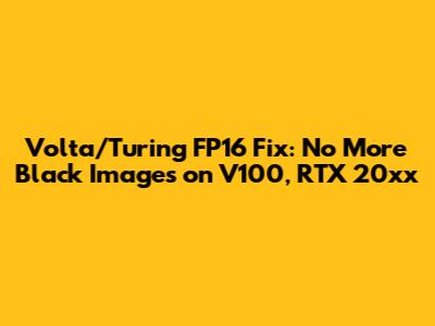 Volta/Turing FP16 Fix: No More Black Images on V100, RTX 20xx