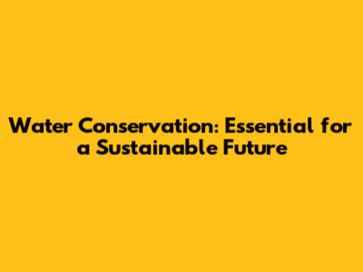Water Conservation: Essential for a Sustainable Future