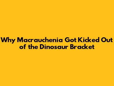 Why Macrauchenia Got Kicked Out of the Dinosaur Bracket