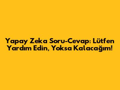 Yapay Zeka Soru-Cevap: Lütfen Yardım Edin, Yoksa Kalacağım!
