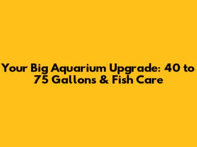 Your Big Aquarium Upgrade: 40 to 75 Gallons & Fish Care